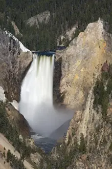 WY, Yellowstone National Park, Lower Yellowstone Falls, Grand Canyon of the Yellowstone