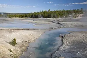 Images Dated 18th June 2008: WY, Yellowstone National Park, Norris Geyser Basin, Porcelain Basin