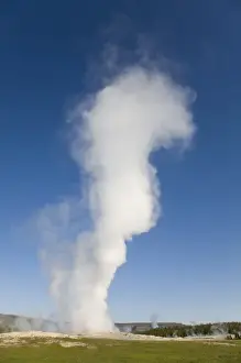 Images Dated 17th June 2008: WY, Yellowstone National Park, Old Faithful Geyser