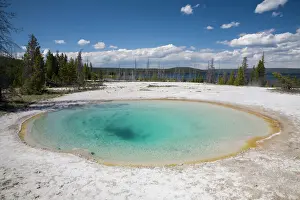 Steam Prints: WY, Yellowstone National Park, West Thumb Geyser Basin, on the shore of Yellowstone Lake
