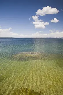Images Dated 18th June 2008: WY, Yellowstone National Park, West Thumb Geyser Basin, on the shore of Yellowstone Lake