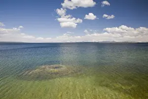 Images Dated 18th June 2008: WY, Yellowstone National Park, West Thumb Geyser Basin, on the shore of Yellowstone Lake