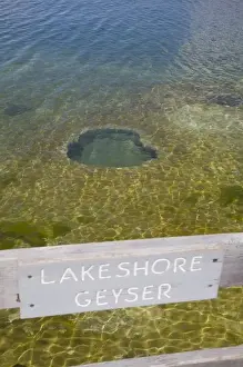 Images Dated 18th June 2008: WY, Yellowstone National Park, West Thumb Geyser Basin, on the shore of Yellowstone Lake
