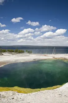 Images Dated 18th June 2008: WY, Yellowstone National Park, West Thumb Geyser Basin, on the shore of Yellowstone Lake