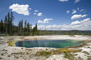 Images Dated 18th June 2008: WY, Yellowstone National Park, West Thumb Geyser Basin, on the shore of Yellowstone Lake