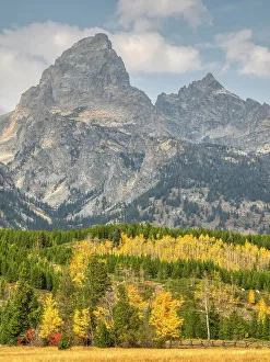 Wyoming, Grand Teton National Park. Teton Range with Grand Teton and golden Aspen trees