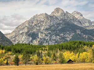 Wyoming, Grand Teton National Park. Teton Range and golden Aspen trees