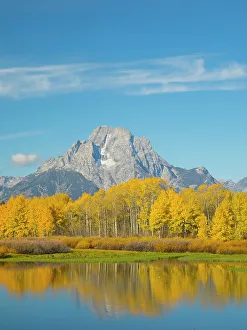 Wyoming, Grand Teton National Park. Mount Moran and golden Aspen trees, reflected in Snake River at Oxbow Bend
