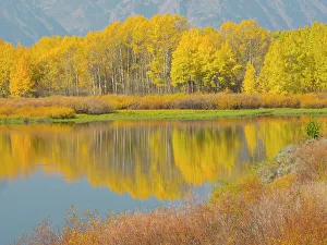 Images Dated 22nd November 2022: Wyoming, Grand Teton National Park