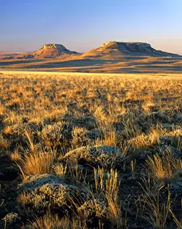 WYOMING. USA. Grasses & sagebrush on Continental Divide at sunrise. Oregon Buttes in distance