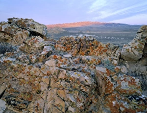 Stark Prints: Wyoming. USA. Lichen-covered rock at sunrise