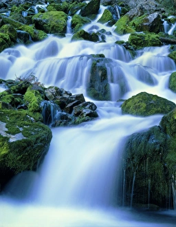 Images Dated 6th May 2010: WYOMING. USA. Periodic Spring during period of high flow