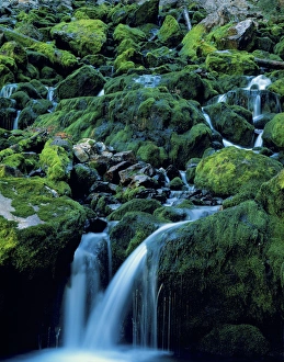 Images Dated 6th December 2009: Wyoming. USA. Periodic Spring during period of low flow. Water flows in pulses from spring