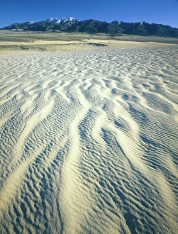 Stark Prints: Wyoming. USA. Ripples in dunes below Ferris Mountains. Ferris Dunes, Great Divide Basin