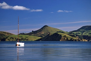 Yachting Prints: Yacht, Dowling Bay, Otago Harbour. Harbour Cone and Otago Peninsula in background