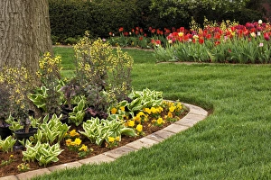 Images Dated 31st March 2012: Yard landscaping, Audubon Park, Louisville, Kentucky