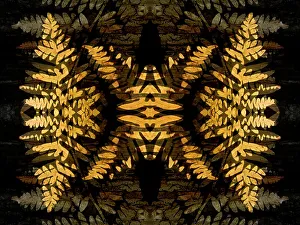Kaleidoscope Prints: Yellow fern abstract