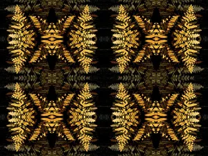 Kaleidoscope Prints: Yellow fern abstract