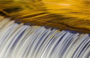 Yellow and golds reflect from tree into The Middle Branch of the Ontonagon River