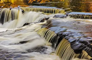 Images Dated 6th October 2016: Yellow and golds reflect from tree into The Middle Branch of the Ontonagon River