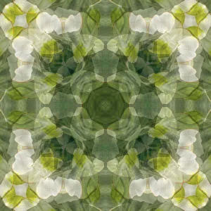 Abstract Collection: Yellow, green and white floral abstract