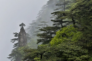 Images Dated 13th May 2014: Yellow Mountains a UNESCO World Heritage Site