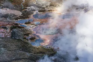 Steam Prints: Yellowstone National Park, USA, Wyoming. Artists Paintpots
