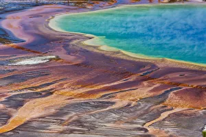 Images Dated 8th January 2022: Yellowstone National Park, USA, Wyoming. Grand Prismatic Spring, Midway Geyser Basin