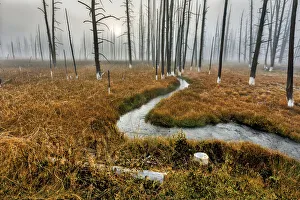 Images Dated 21st December 2020: Yellowstone National Park, Wyoming