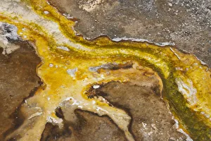 Yellowstone National Park, Wyoming, USA. Thermal bacteria mat