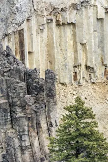 Yellowstone National Park, Wyoming, USA. Rock columns in the canyon north of Tower Fall