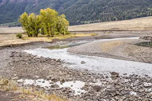 Yellowstone National Park, Wyoming, USA. Scenic landscape of Slough Creek