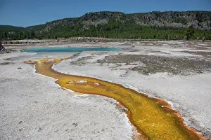 Images Dated 25th April 2022: Yellowstone National Park, Wyoming, USA