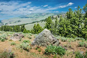 Images Dated 25th April 2022: Yellowstone River Picnic Area, Yellowstone National Park, Wyoming, USA