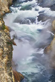 Steam Prints: Yellowstone River at sunrise from Artist Point, Yellowstone National Park, Wyoming
