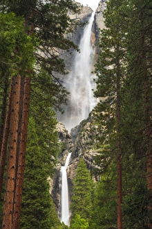 Cascades Prints: Yosemite Falls, Yosemite National Park, California USA