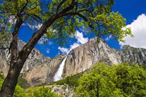 Images Dated 23rd May 2011: Yosemite Falls, Yosemite National Park, California, USA