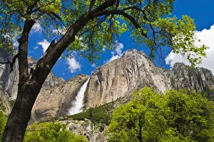 Images Dated 23rd May 2011: Yosemite Falls, Yosemite National Park, California