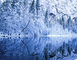 Brook Prints: Yosemite National Park, California. USA. Fresh snow on trees & cliffs along Merced River
