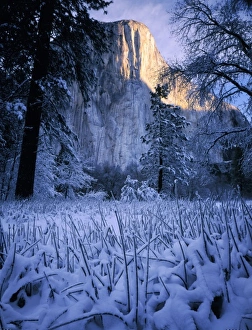Images Dated 4th August 2010: Yosemite National Park, California