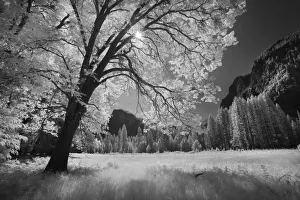 Yosemite Valley in infrared black and white, Yosemite National Park, California