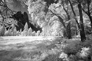 Images Dated 4th April 2022: Yosemite Valley in infrared black and white, Yosemite National Park, California
