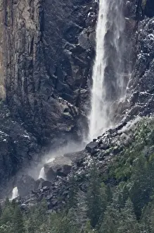 Tree Top Prints: Yosemite valleys lower and upper Bridalveil Fall -Yosemite National Park, California