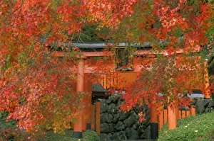 Shintoism Prints: Yoshimine Temple, Nagaoka, Kyoto, Japan