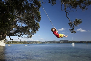 Images Dated 17th December 2009: Young Boy on Rope Swing under Pohutukawa Tree, Flaxmill Bay, Coromandel, North Island