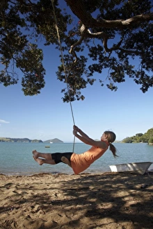 Images Dated 16th December 2009: Young Girl on Rope Swing under Pohutukawa Tree, Oamaru Bay, Coromandel, North Island