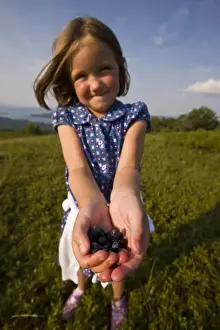 Ripe Prints: A young girl showing off the blueberries she picked on a hilltop in Alton, New Hampshire