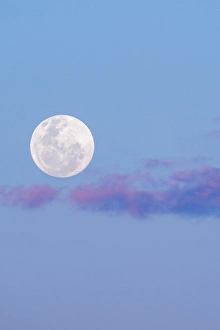 Images Dated 11th January 2024: Zambia, South Luangwa National Park. Full moon