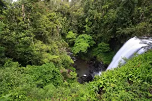 Queensland Prints: Zillie Falls is one of three popular waterfalls on the 15 km Waterfall Circuit off