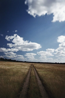 Zimbabwe, View of road near Linkwasha Airstrip